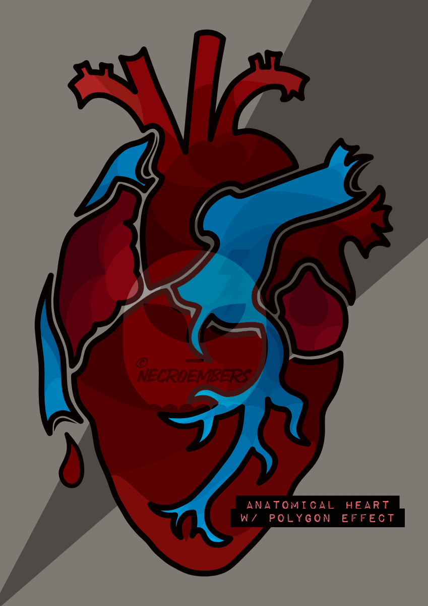 anatomical heart with polygon effect